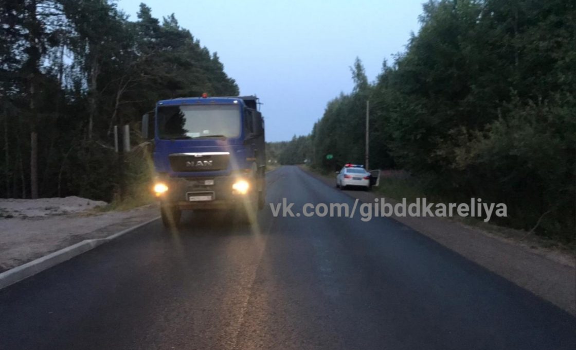 В Карелии под колесами грузовика погиб 7-летний ребенок