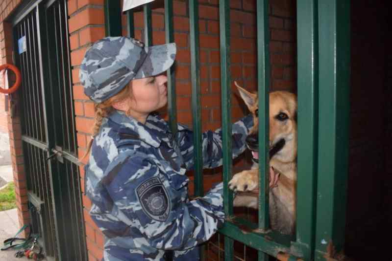 Кражу в Новосибирске помогла раскрыть служебная овчарка