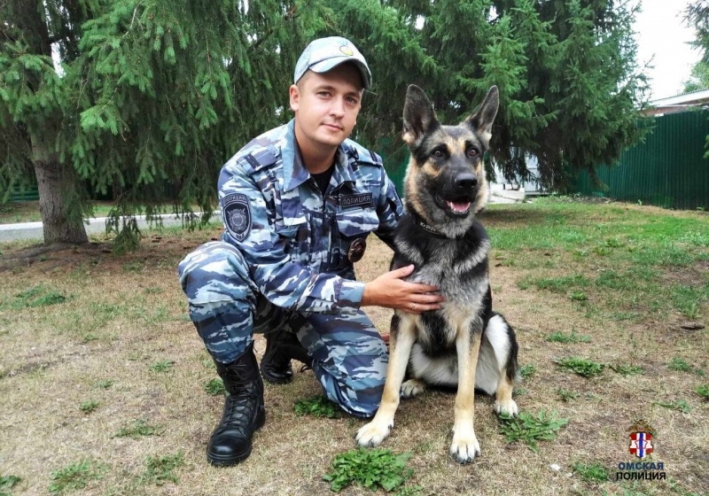В Омске служебная овчарка привела полицейских к дому грабителя