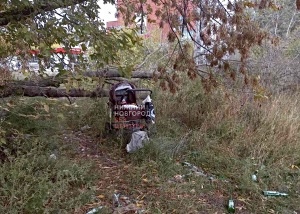 В Нижнем Новгороде прохожие нашли в коляске 8-месячного малыша