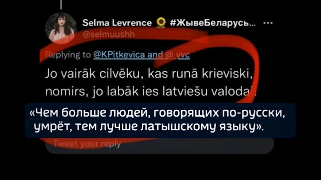 В Латвии возбудили дело против помощницы депутата за твит о русских