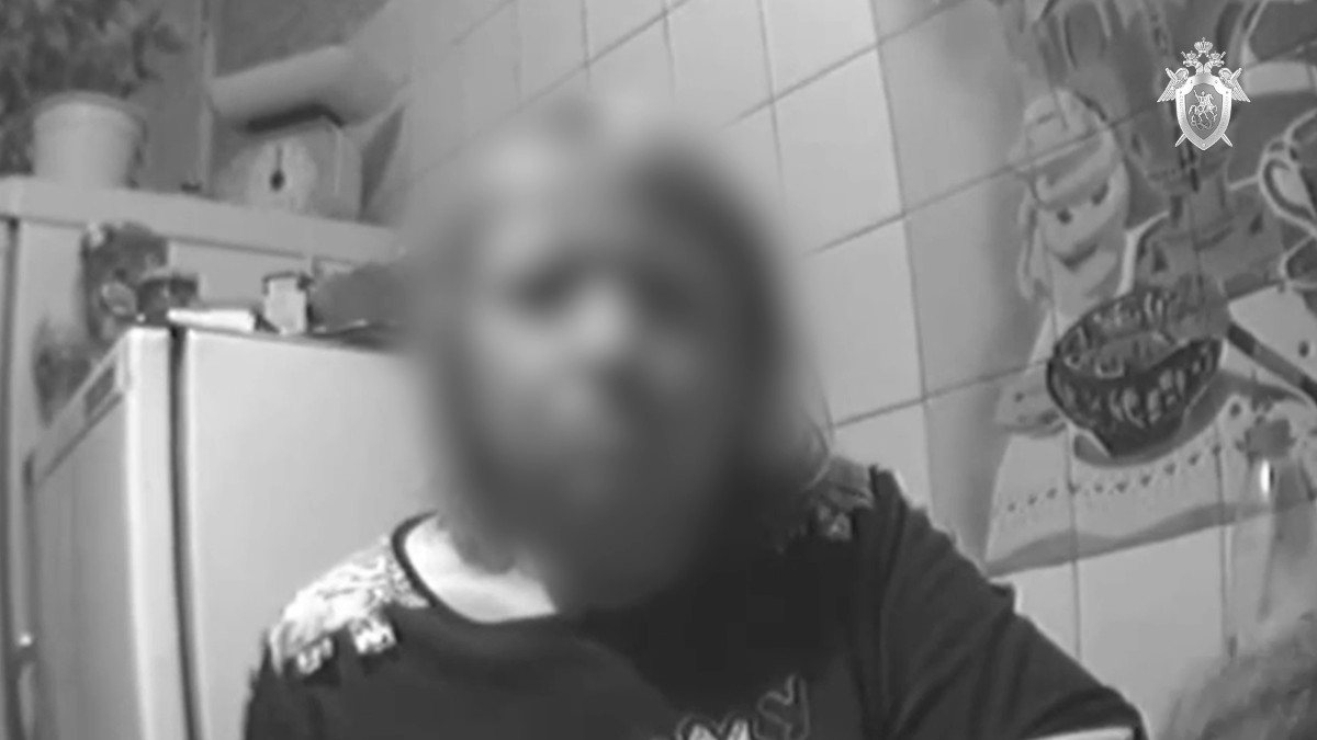 СК опубликовал кадры разговора женщины с "киллером" для 8-летней девочки