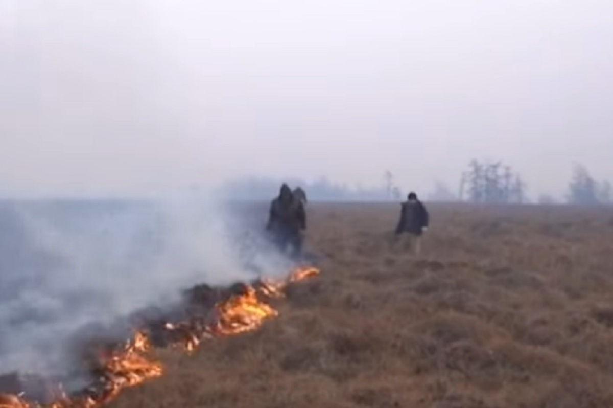 Пожар в тундре под Магаданом локализован