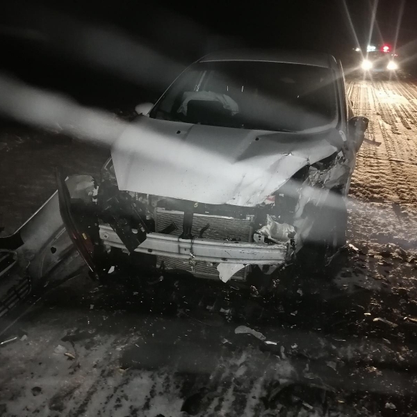 Пять человек пострадали в ДТП на трассе в Рязани