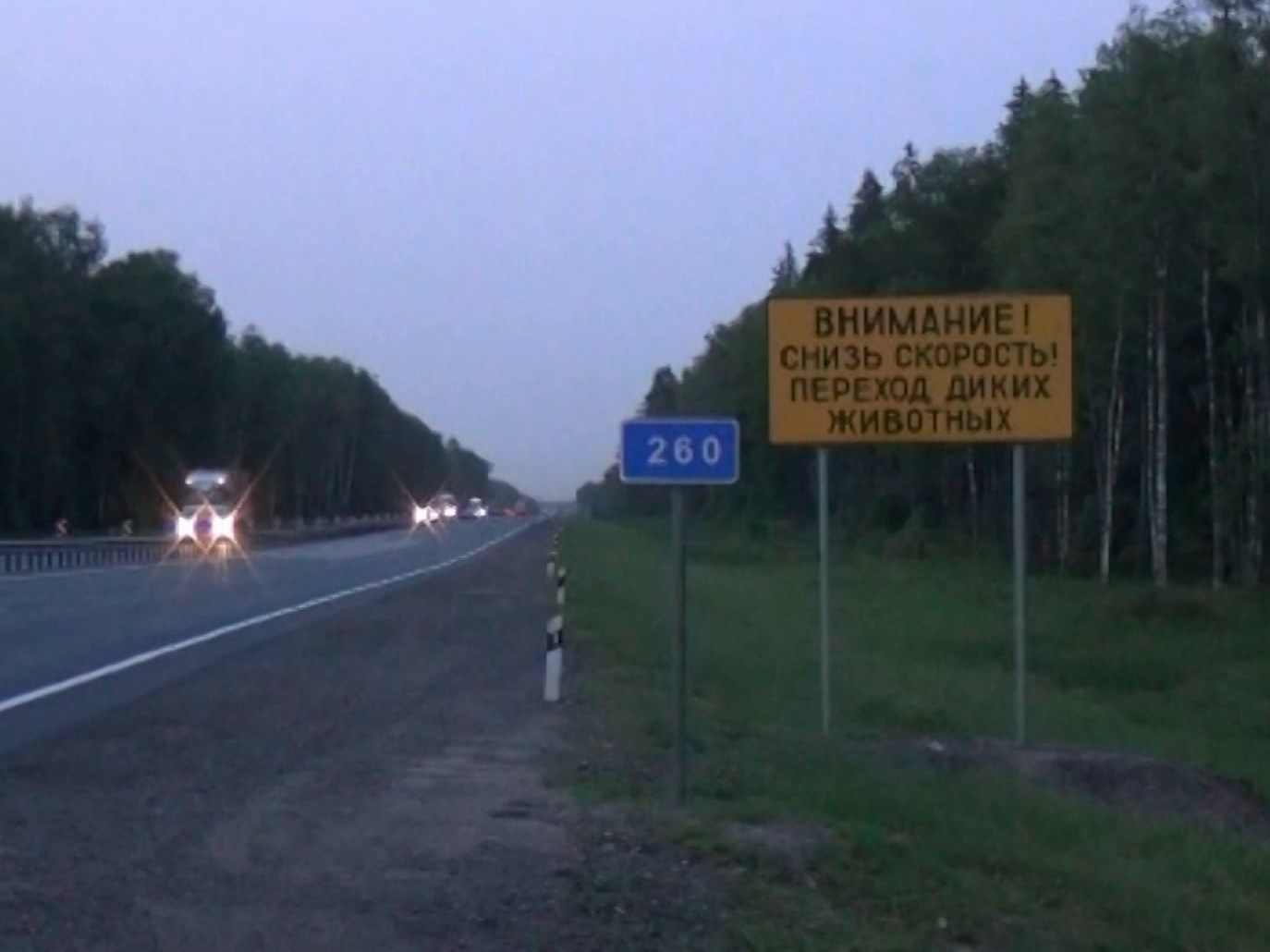 На смоленской трассе М-1 появится первый экодук для животных
