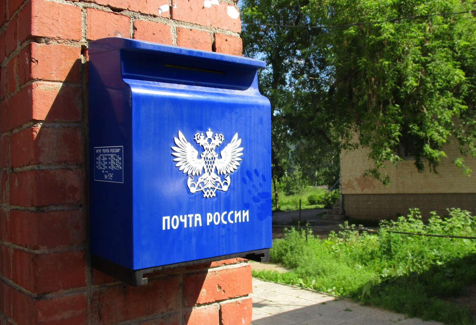Тверских почтальонов снабдят средством для отпугивания собак