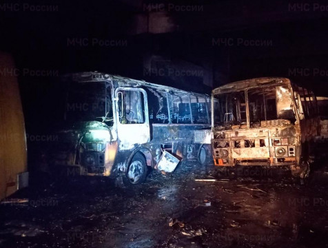 Сразу несколько автобусов сгорели ночью в Людинове