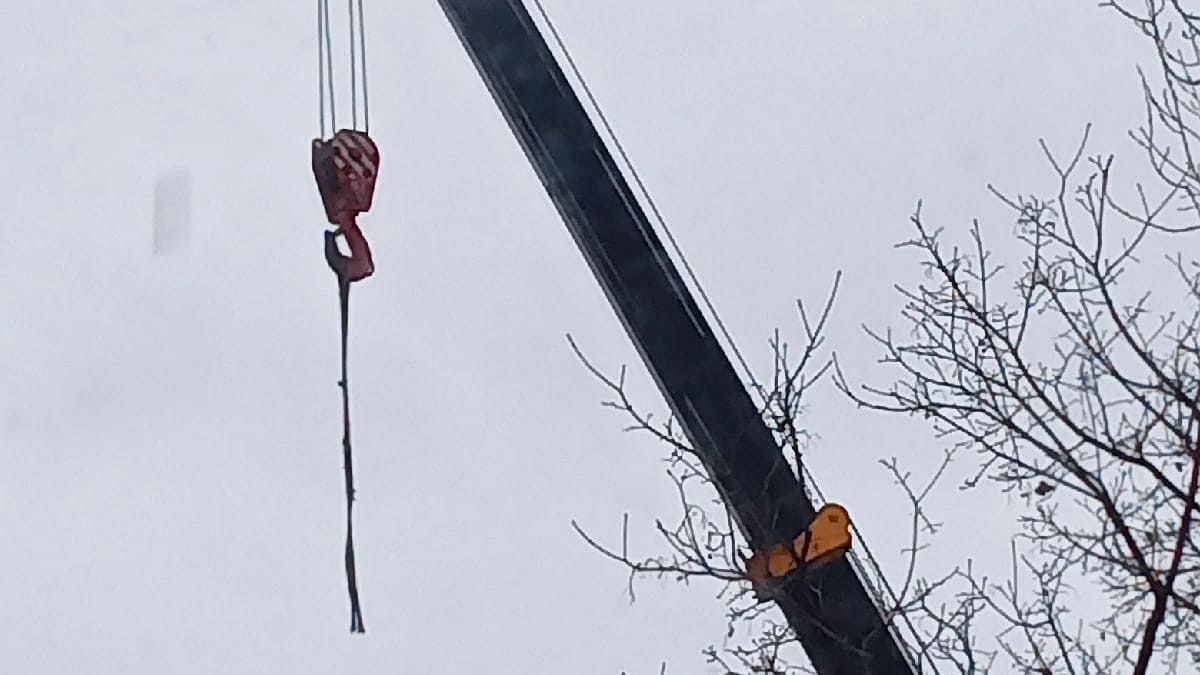 Два человека погибли во время обрезки деревьев в Старом Осколе