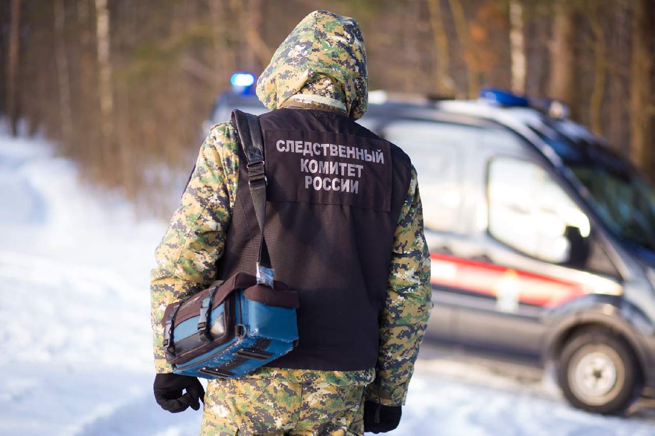Житель Твери забил бывшую жену бейсбольной битой