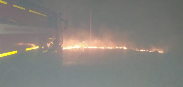 Полгектара сухой травы загорелось в Пензенской области