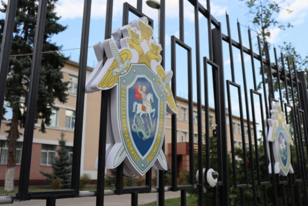 Следком выступил за создание реестра педофилов