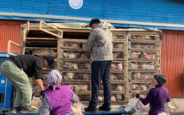 Новым видом социальной поддержки Бурятии заинтересовались другие регионы