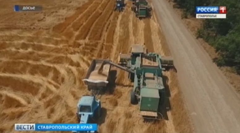 Глава Ставрополья поручил кратно увеличить долю перерабатываемой в регионе продукции