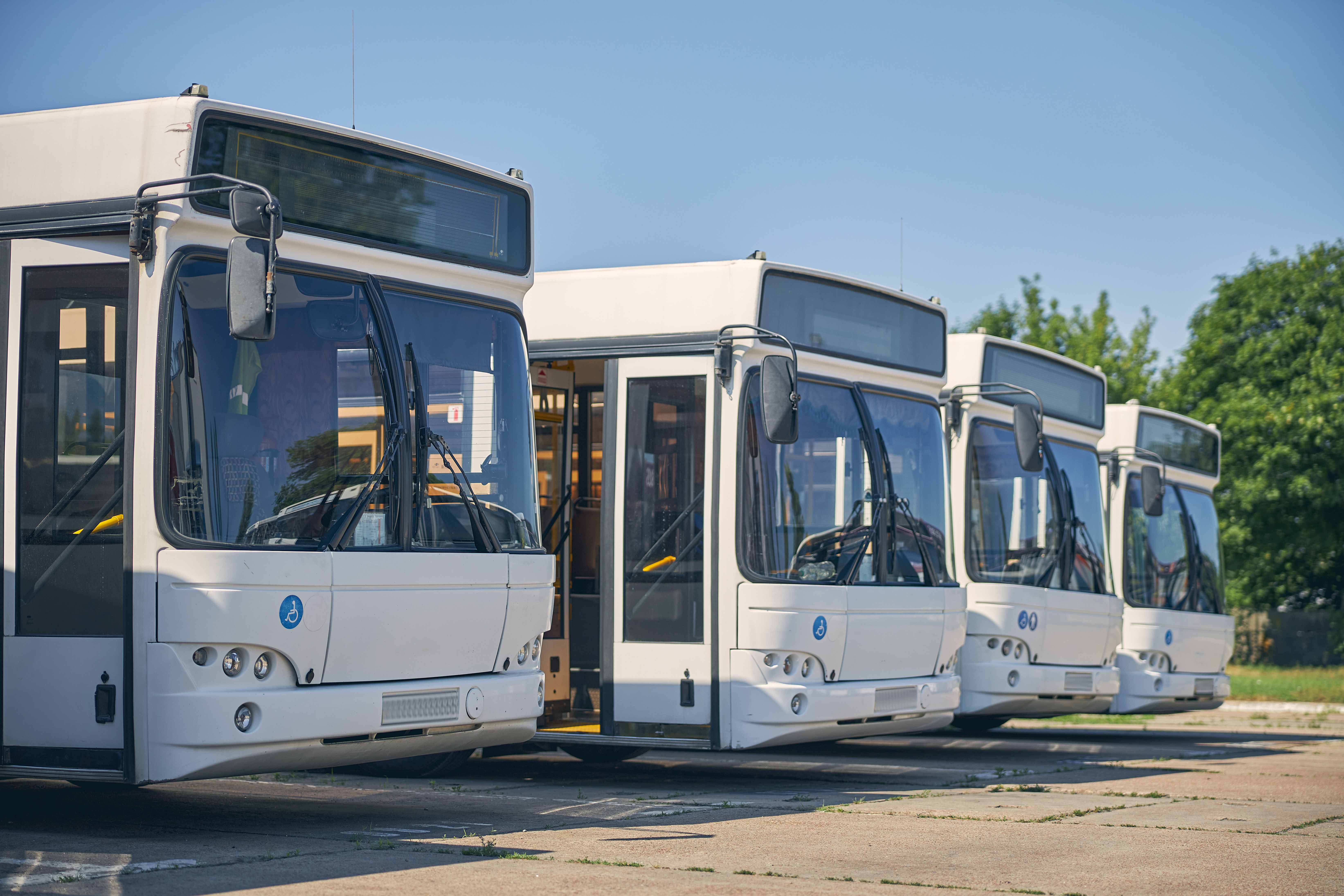 Больше приморских автобусных рейсов появится на Кубани