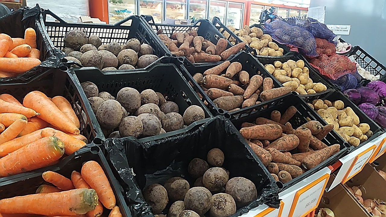 Экономисты рассказали, какие продукты подешевели в Челябинской области