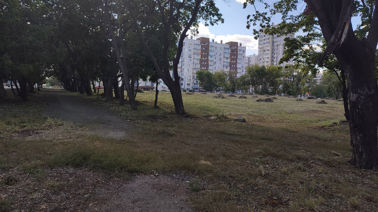 Пешеходные аллеи и велодорожки обустроят в парке "Плодушка" в Челябинске