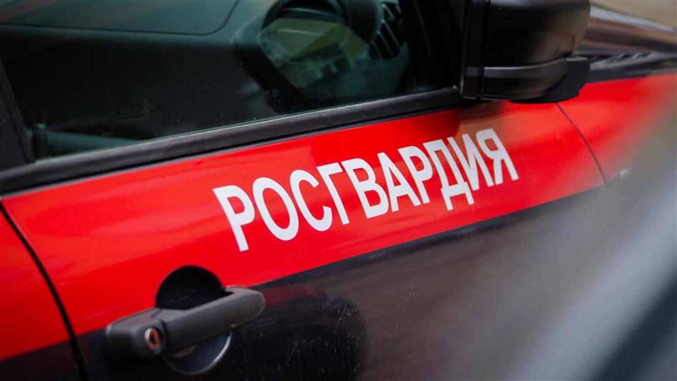Брянские росгвардейцы за неделю более 400 раз выезжали по "тревоге"