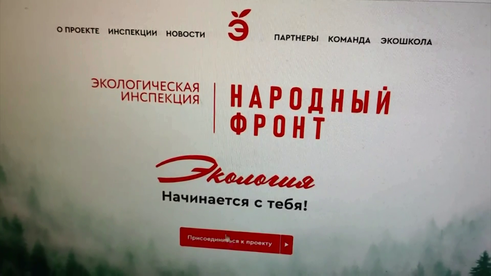 Активисты народного фронта организовали акцию "Экологическая инспекция"