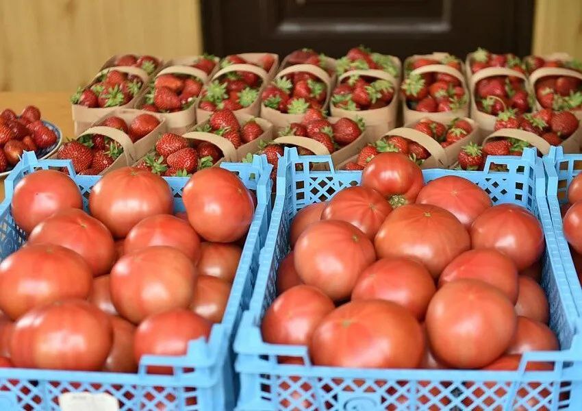 "Фермерские островки" можно будет найти в крупных торговых сетях Кубани