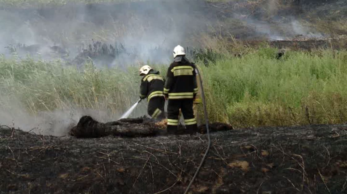 На Кубани выросло число пожаров