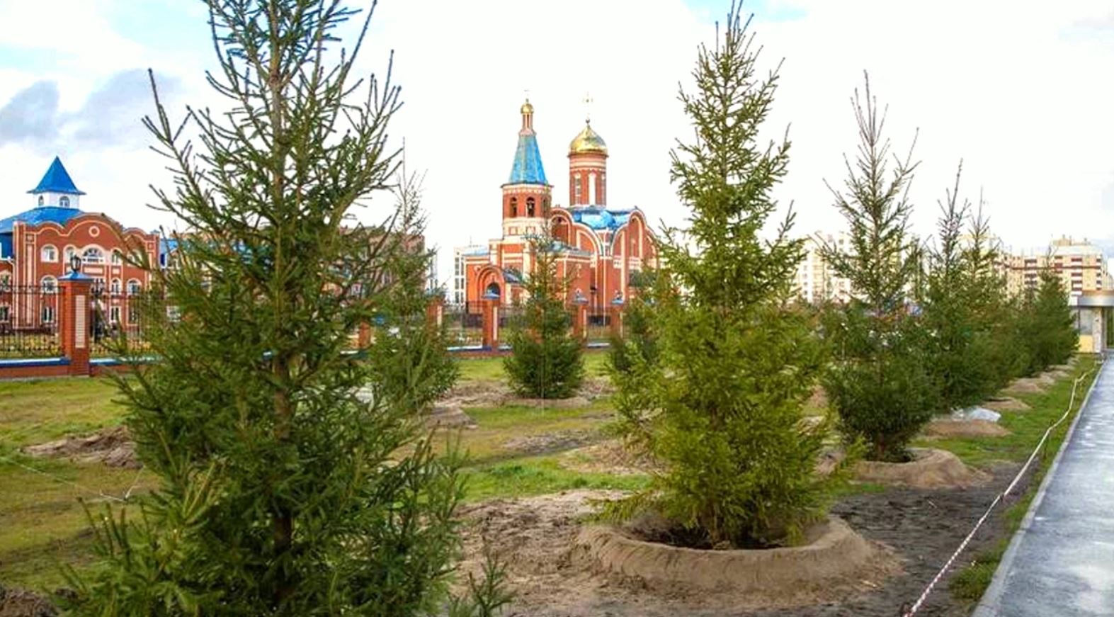 В Новом Уренгое прошло масштабное озеленение