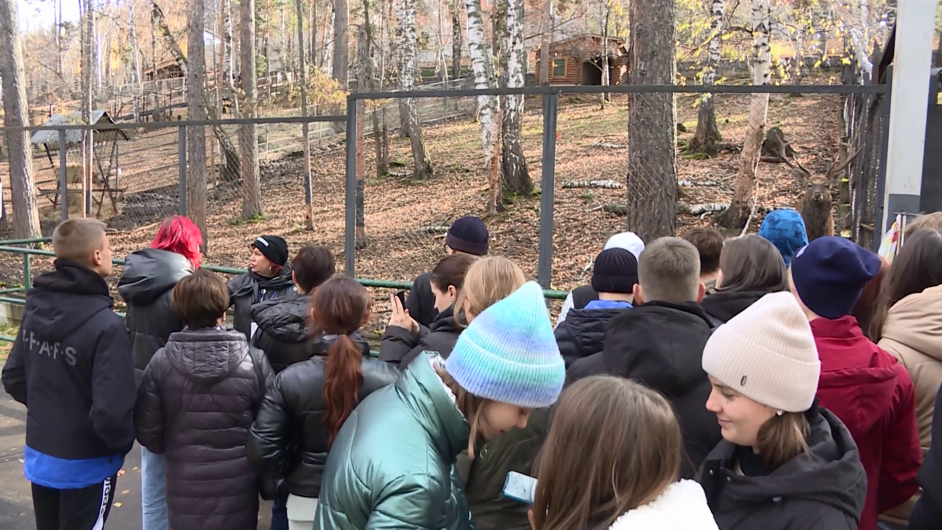 Школьники из Новосёлово приехали в Красноярск, чтобы посетить комплекс экскурсий в течение трех дней
