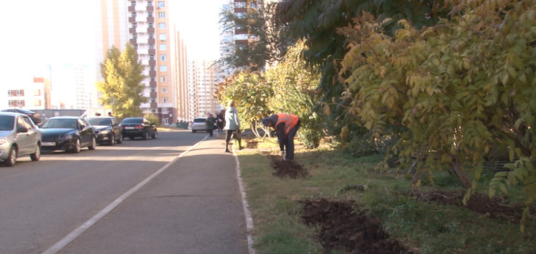 В Оренбурге пройдут традиционные окружные субботники