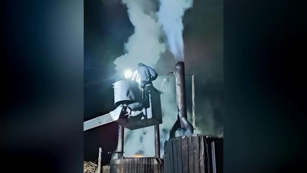 Под Красноярском пресекли незаконное производство древесного угля