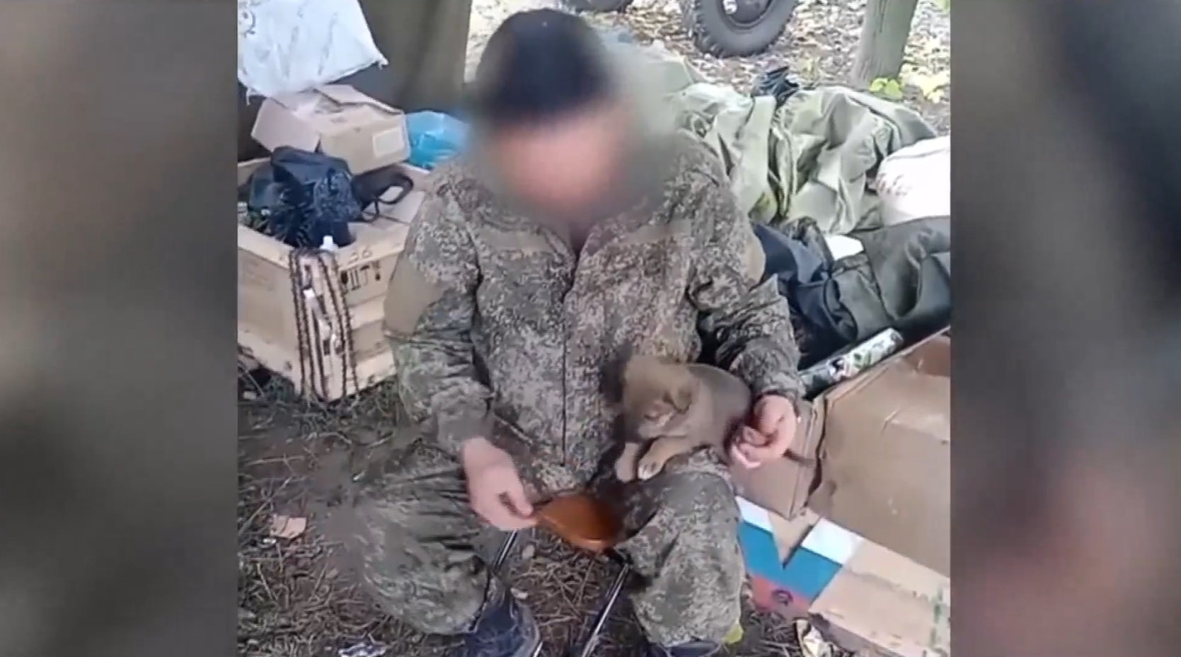 Тюменские добровольцы приютили щенка