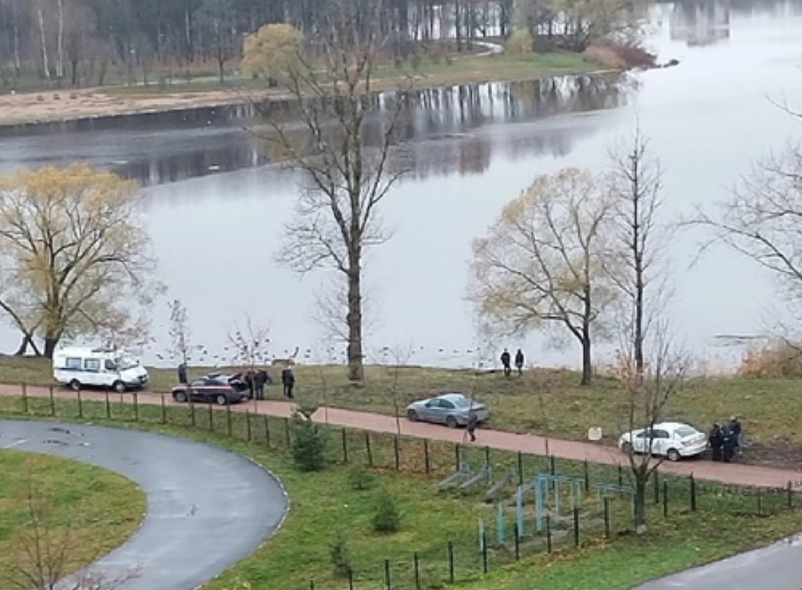 Из пруда в Петербурге достали женские ноги