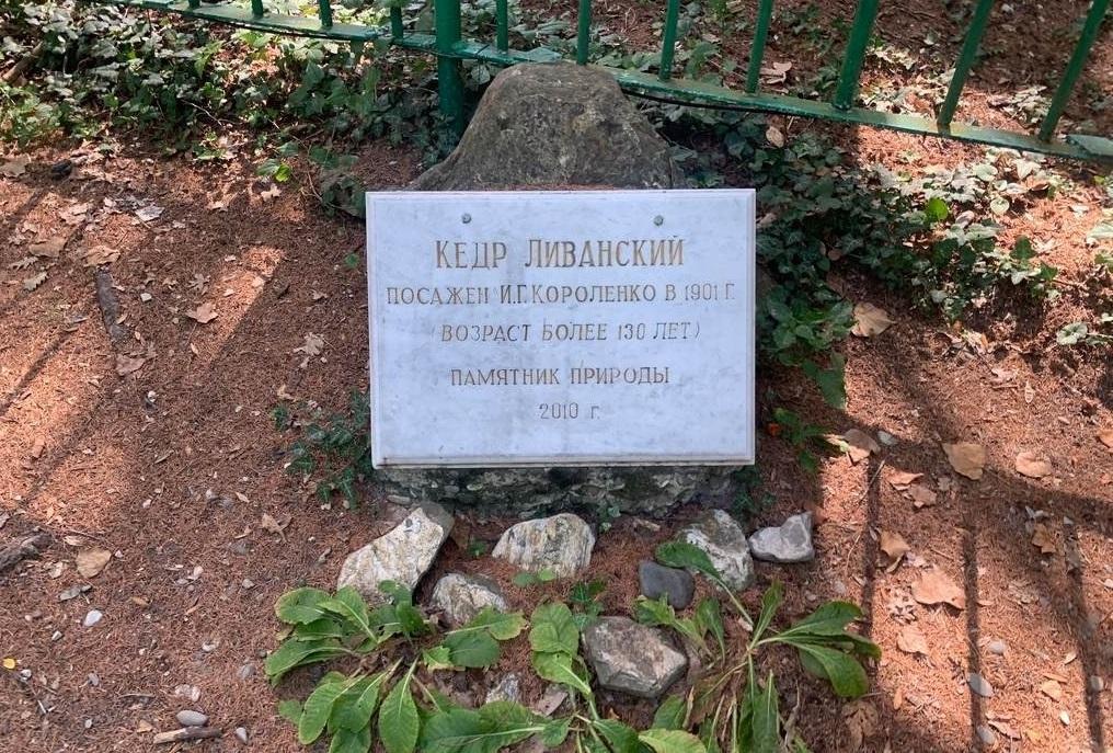 В Геленджике появился новый памятник живой природы
