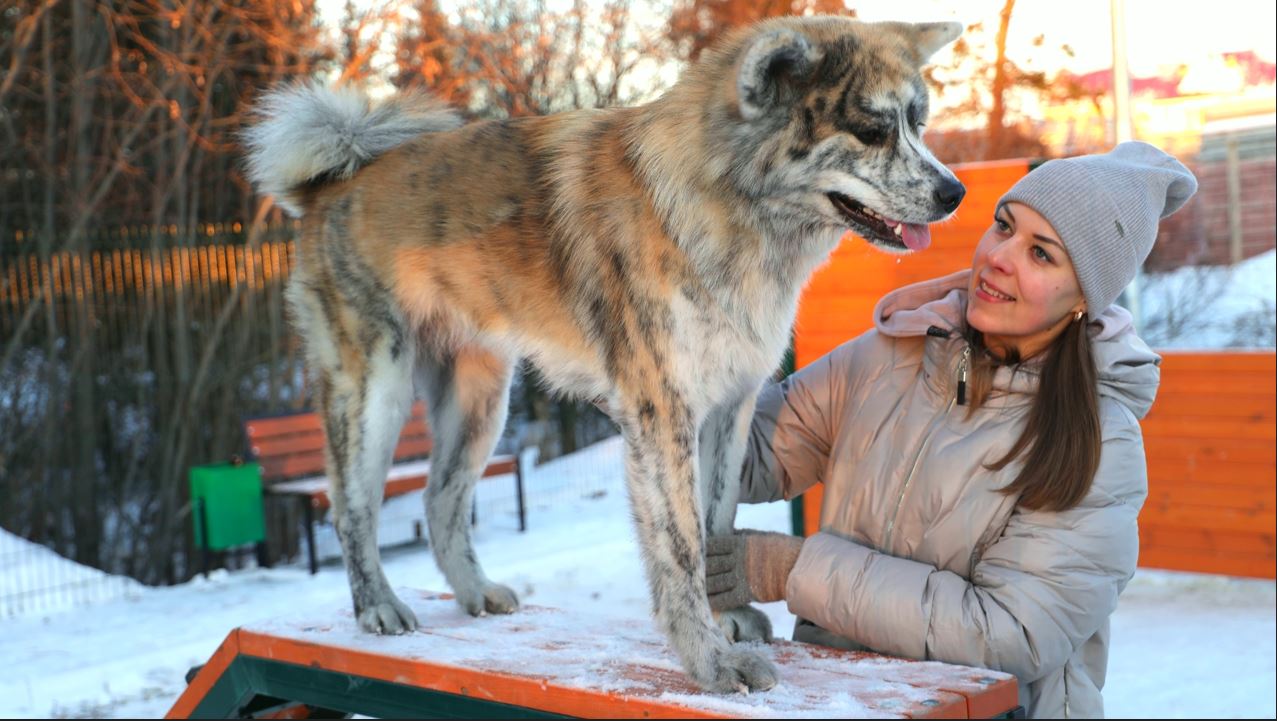 В трех поселениях Ямала обустроили площадки для выгула собак