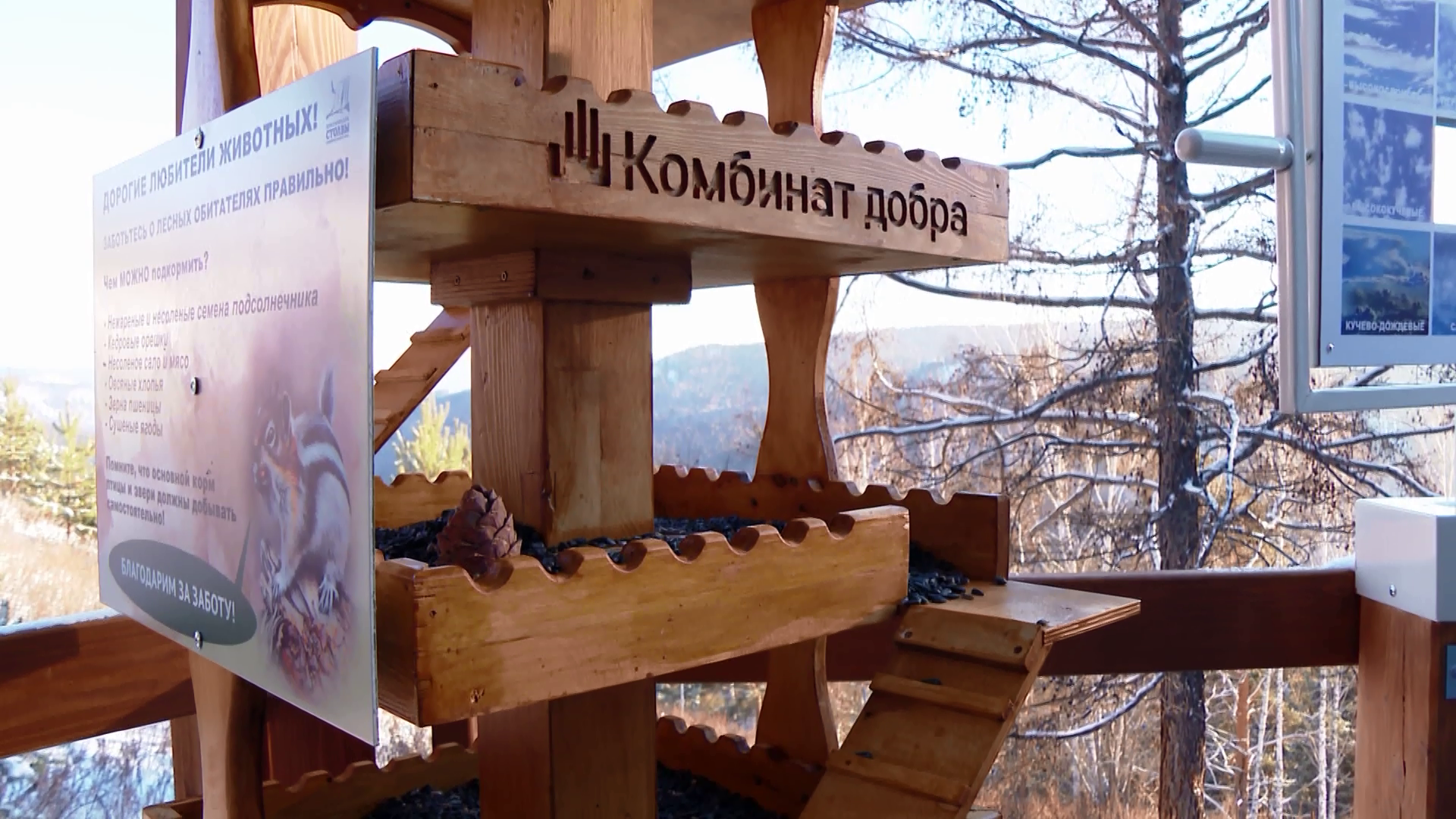Определены лучшие помощники красноярских Столбов
