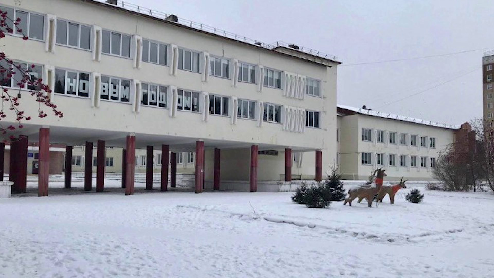 В лицее №103 Железногорска начали проверку в связи с отравлением учеников