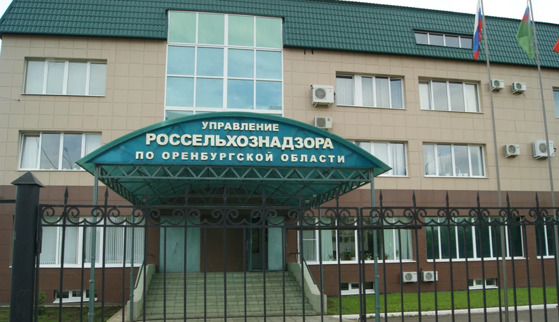 В Соль-Илецке введен карантин по бешенству