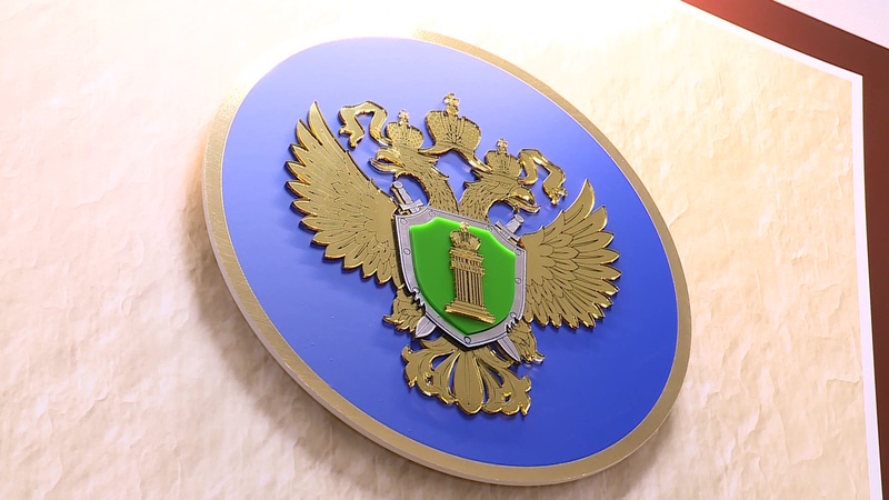 Прокурор Оренбурга отсудил компенсацию пострадавшему от укуса собак подростку