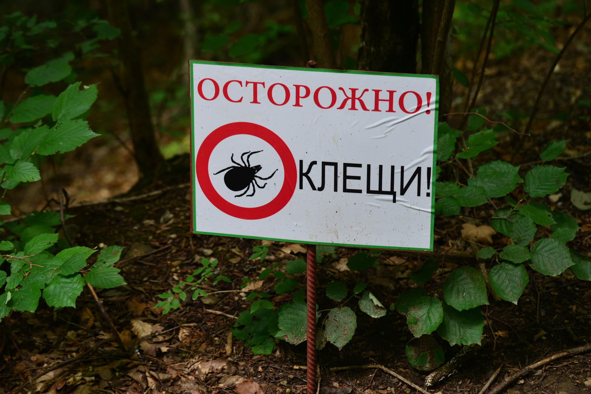 На Кубани начался сезон укусов клещей