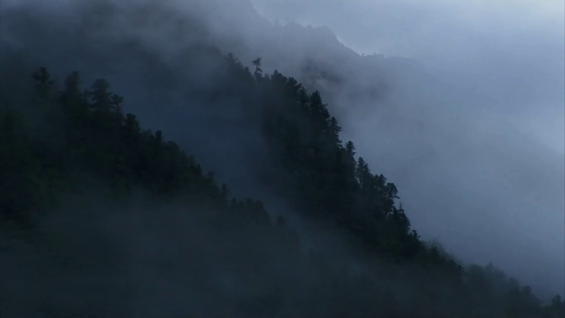 Красноярские школьники открыли сезон путешествий по социальным сертификатам