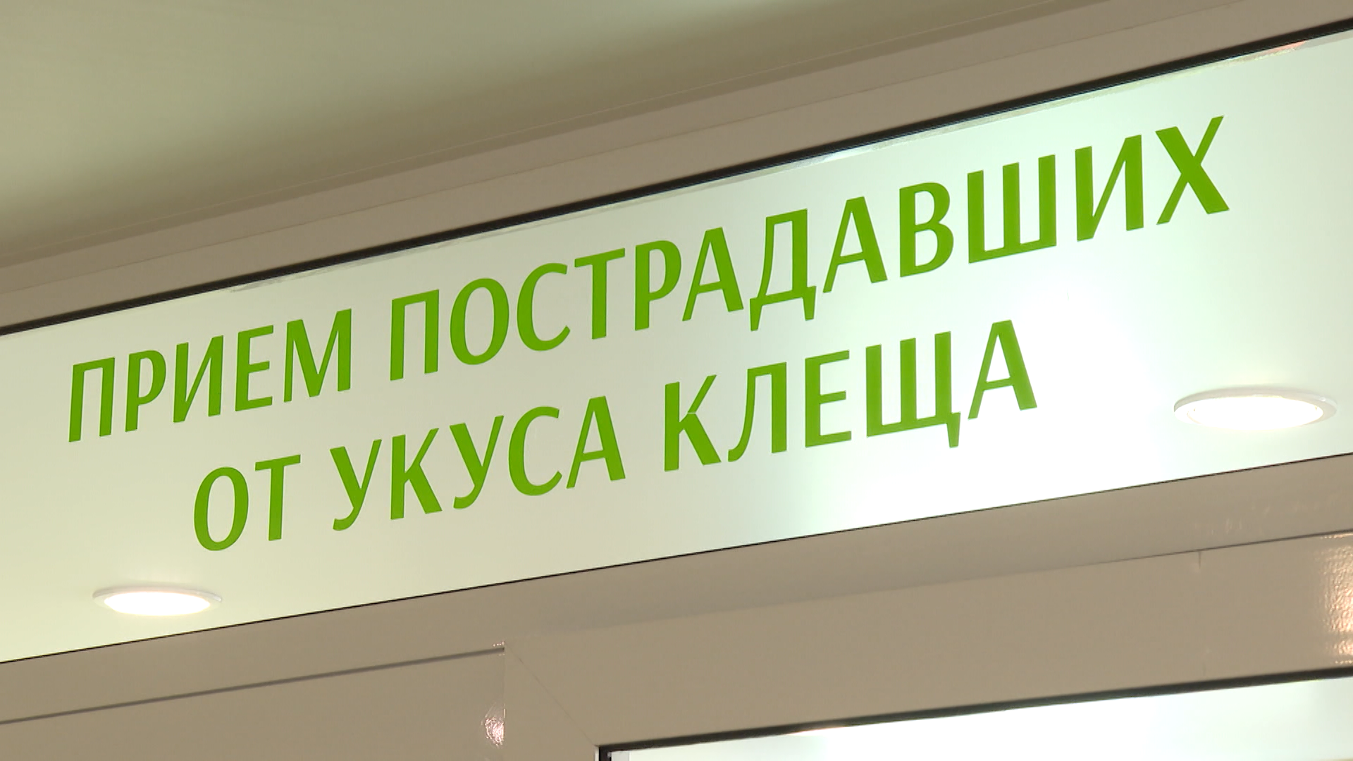 Уже 95 человек в Иркутской области пострадали от укуса клещей с начала сезона