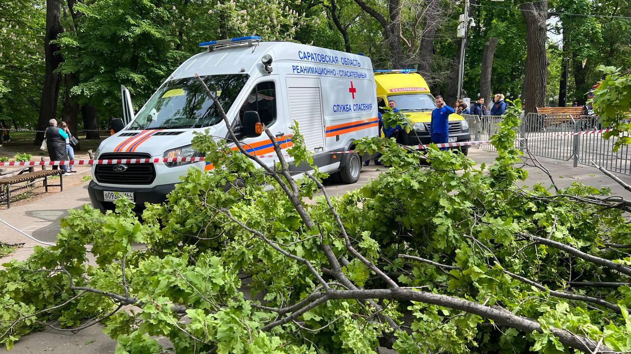 Упавший дуб убил ребенка и женщину в Саратове