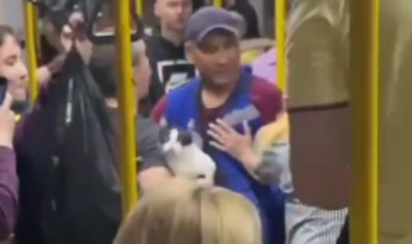 Драка в автобусе с участием кондуктора, пассажира и кота попала на видео