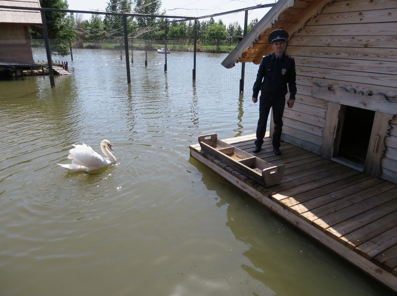 В шарлыкском парке "Луна" появился настоящий зоосад