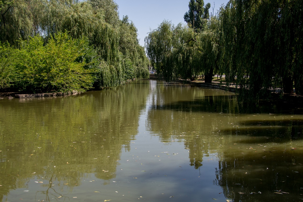 В Краснодаре займутся чистотой пруда в Городском Саду