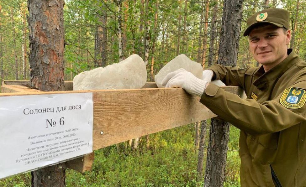 В ямальских лесах разложили полезные угощения для животных