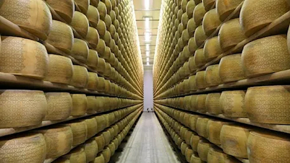Итальянского сыродела насмерть завалило головками Grana Padano