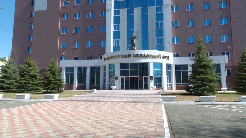 За укус бродячей собакой ученице заплатят школа и администрация Тоцкого района
