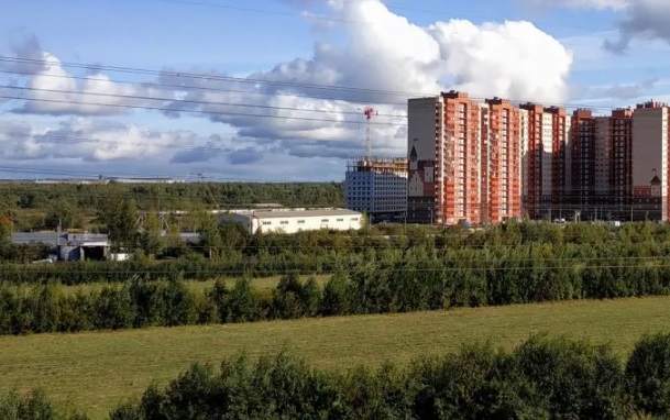 Кальянщик из Мурино зарезал знакомую в порыве ревности