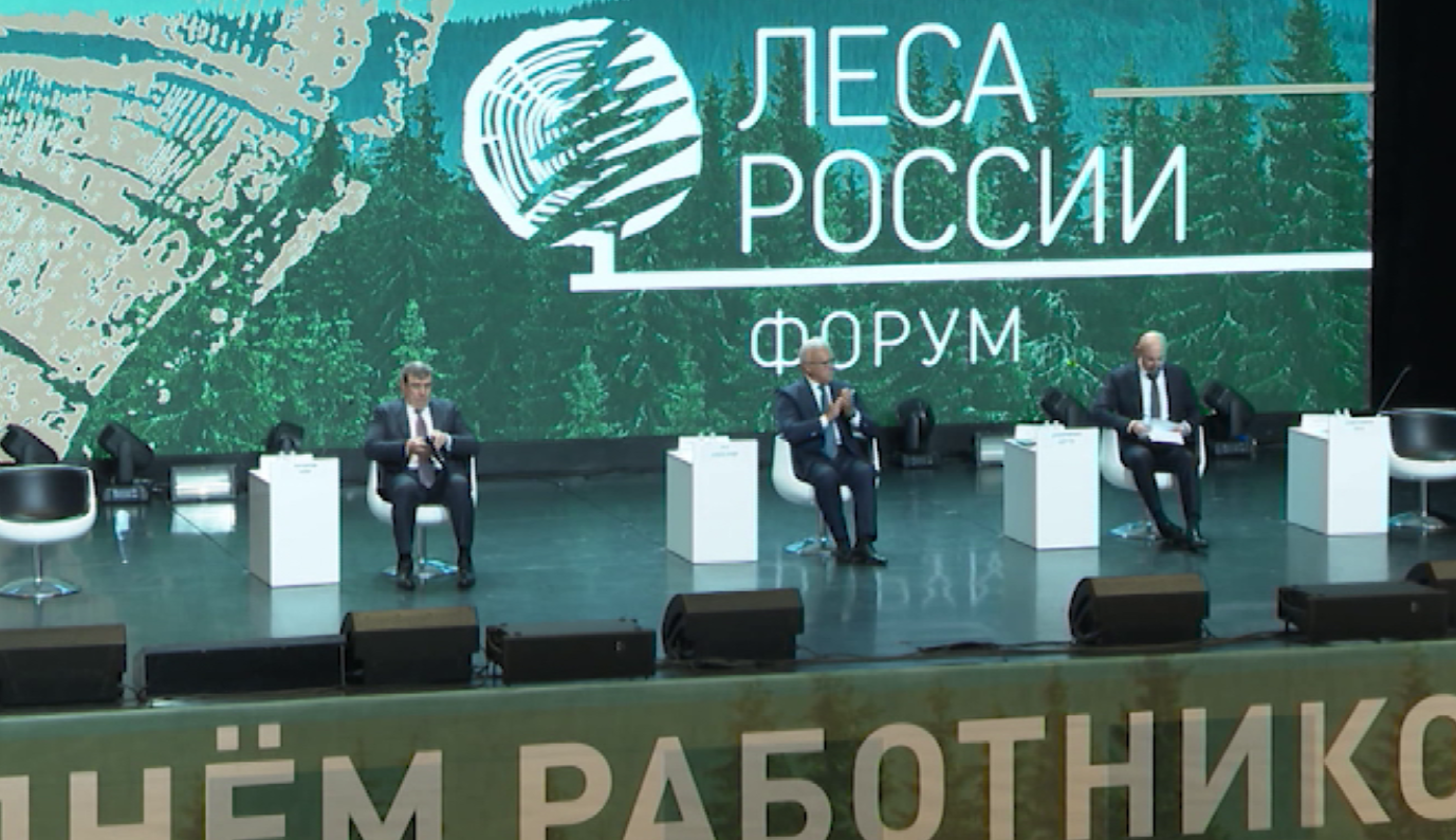 В Красноярске эксперты лесной отрасли обсудят новые возможности развития лесопромышленного комплекса