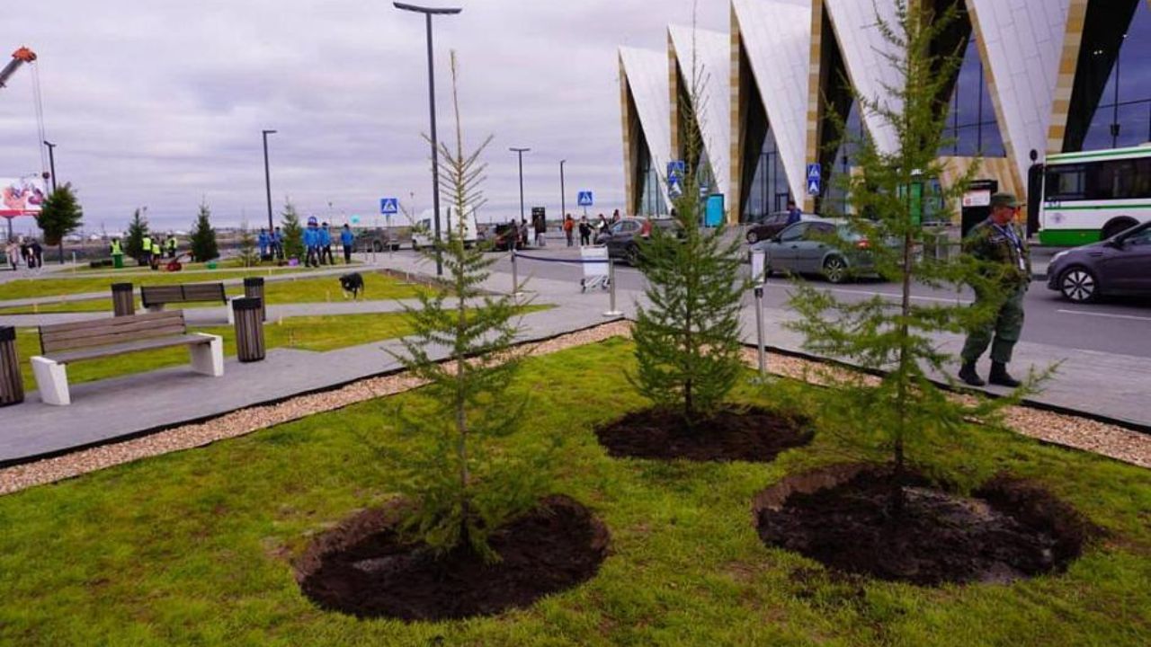 Парк начали обустраивать у аэропорта Нового Уренгоя