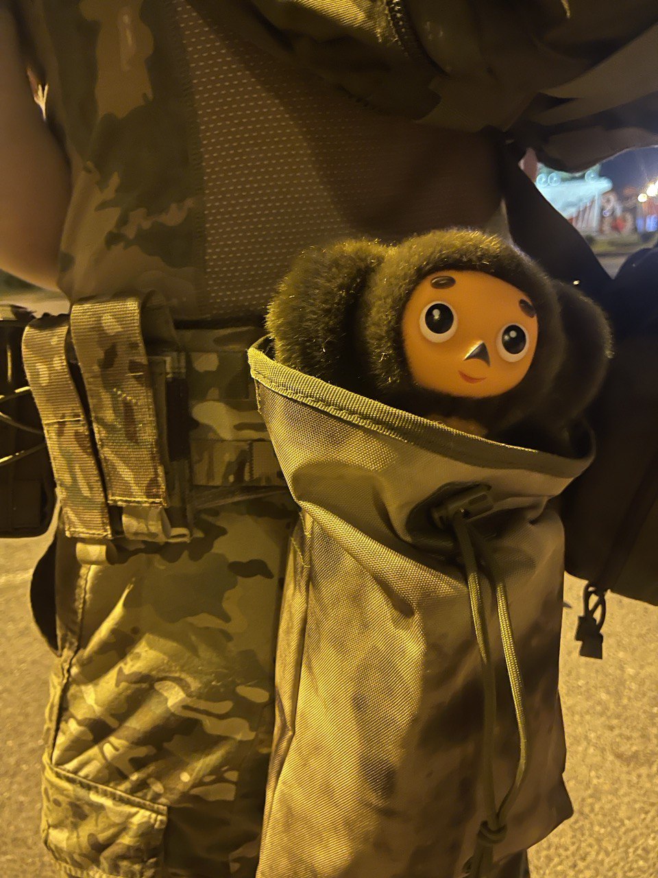 Новые регионы России войдут в Южный военный округ